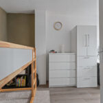 Zilverfazant 2 – Foto 20