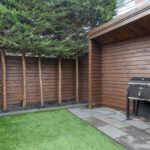 Zilverfazant 2 – Foto 31