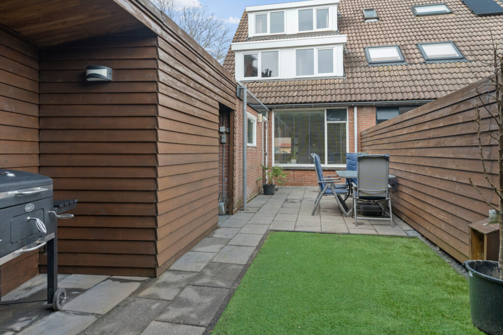 Zilverfazant 2 – Foto 2