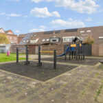 Zilverfazant 2 – Foto 33