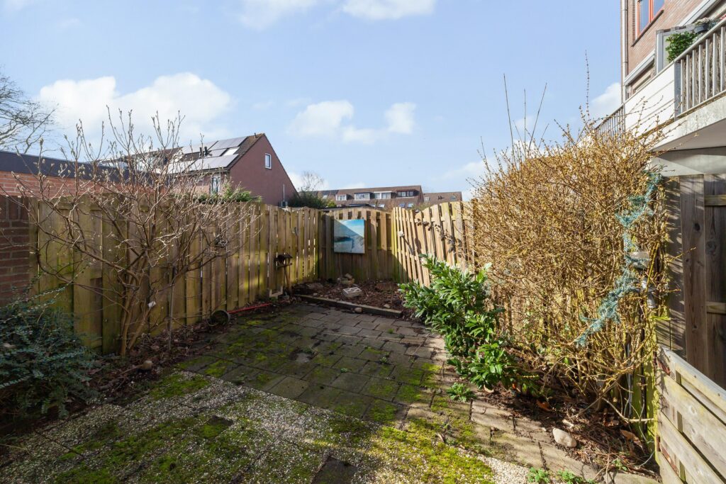 Ringfazant 21 – Hoofdfoto