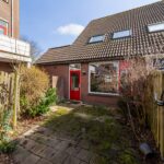 Ringfazant 21 – Foto 2