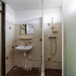 Ringfazant 21 – Foto 4