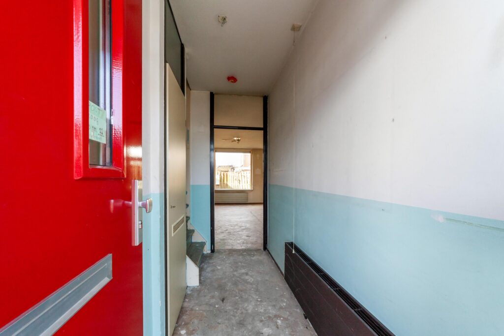 Ringfazant 21 – Foto