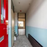 Ringfazant 21 – Foto