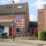 Ringfazant 21 – Foto 6