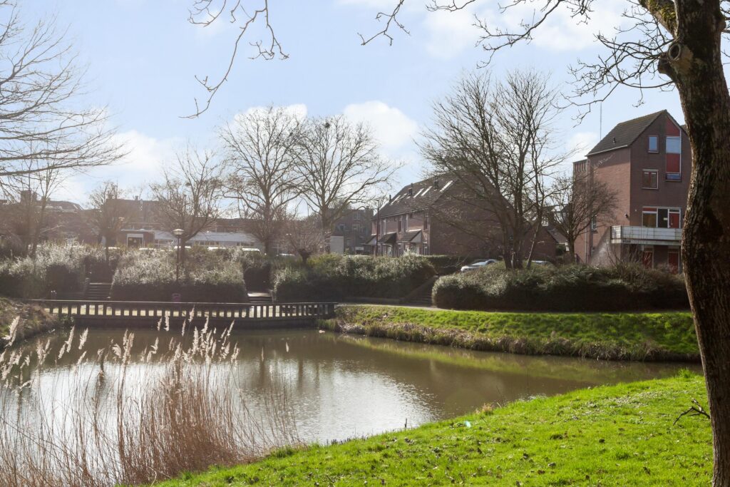 Ringfazant 21 – Foto 13