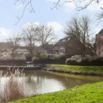 Ringfazant 21 – Foto 13