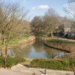 Ringfazant 21 – Foto 14