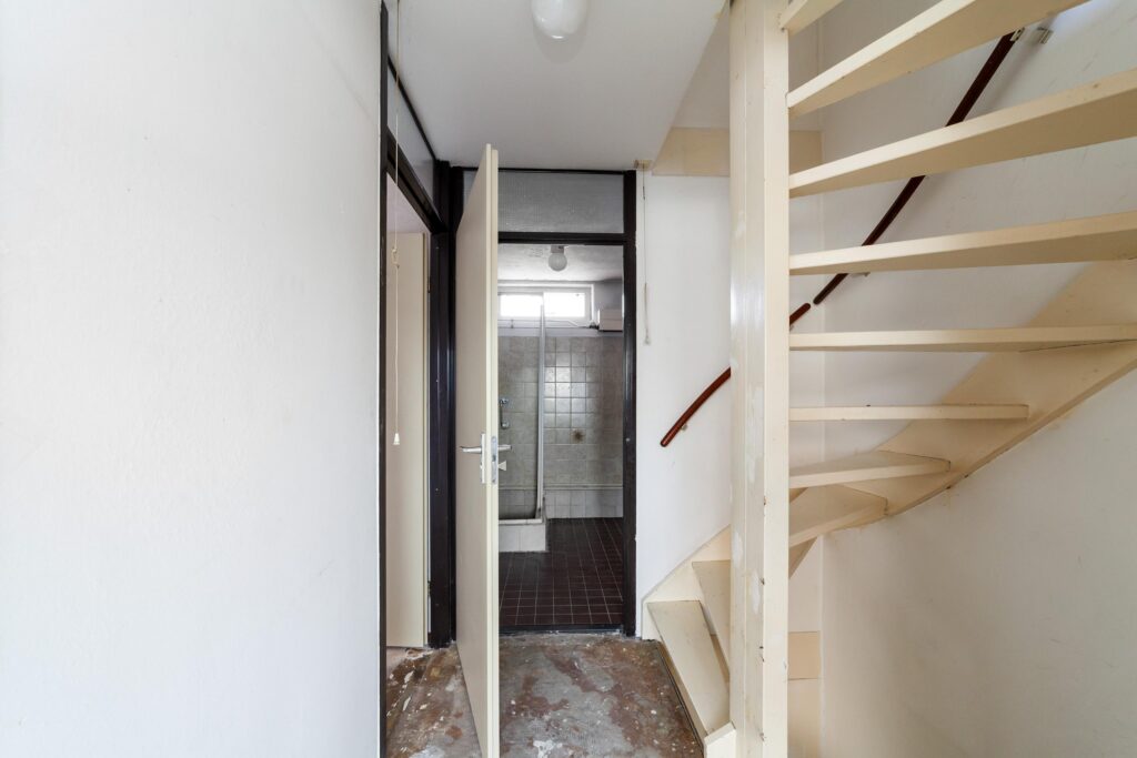 Ringfazant 21 – Foto 16