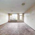 Ringfazant 21 – Foto 19