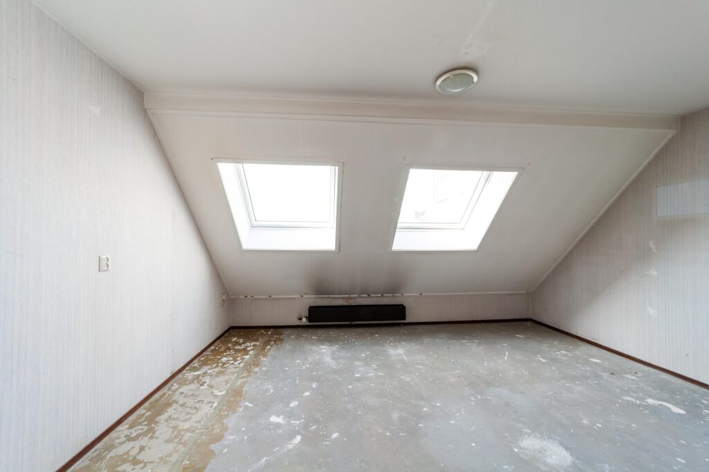 Ringfazant 21 – Foto 21