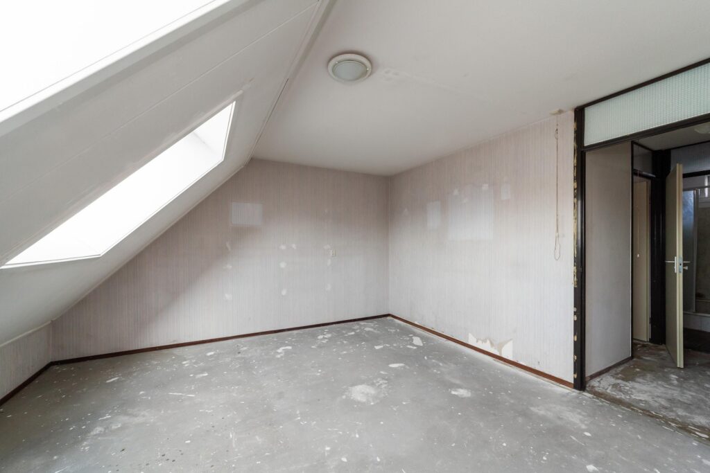 Ringfazant 21 – Foto 22