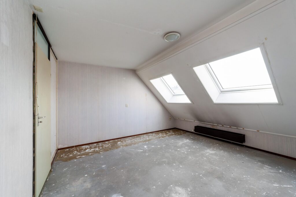 Ringfazant 21 – Foto 24