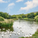 Aziëlaan 454 – Foto 30